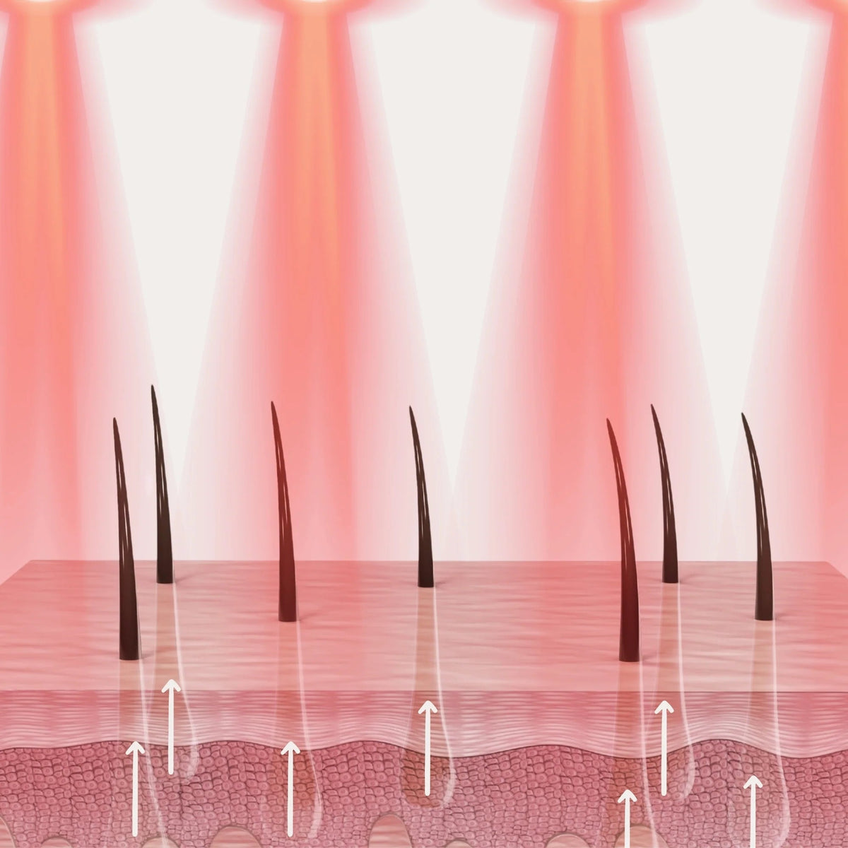 LED Hair Growth Brush – Stop Hair Loss & Regrow Hair Naturally